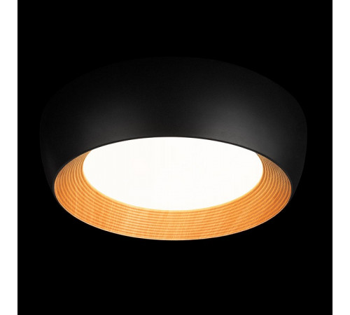 Потолочный светильник Loft IT Folk 10255/500 Black