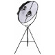 Торшер Loft IT Studio 10301/L