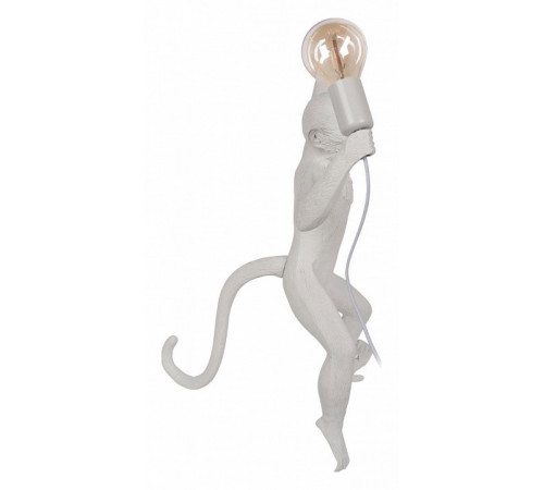 Настенный светильник Loft IT Monkey 10314W/A