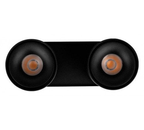 Накладной спот Loft IT Focus 10323/2A Black