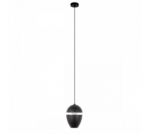 Подвесной светильник Loft IT Viterbo 10336 Black