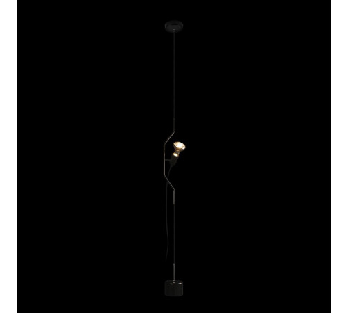 Подвесной светильник Loft IT Parentesi 10346/1 Black