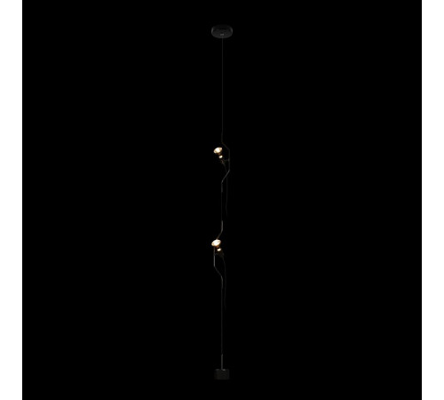 Подвесной светильник Loft IT Parentesi 10346/2 Black