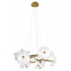 Подвесная люстра Loft IT Bloom 10352/650 AB