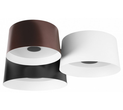 Потолочный светильник Loft IT Duo 10360/3 Потолочный светильник Loft IT Duo 10360/3
