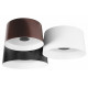 Потолочный светильник Loft IT Duo 10360/3