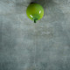 Потолочный светильник LOFT IT Memory 5055C/L green