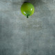 Потолочный светильник LOFT IT Memory 5055C/M green
