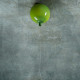 Потолочный светильник LOFT IT Memory 5055C/S green