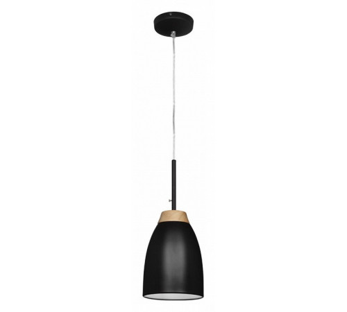 Подвесной светильник LOFT IT Watchman Loft4402A-Bl Подвесной светильник LOFT IT Watchman Loft4402A-Bl