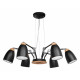Подвесная люстра LOFT IT Watchman Loft4402/6Bl