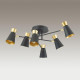 Потолочная люстра Lumion Liam 3790/6C