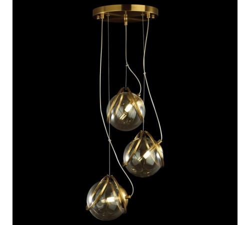 Подвесная люстра Lumion Wanda 5288/3