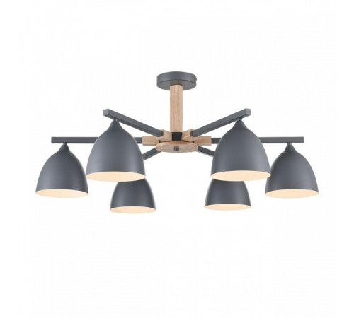 Люстра на штанге Lumion Colange 8096/6C