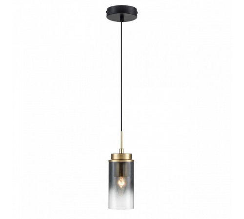 Подвесной светильник Lumion Isha 8101/1A