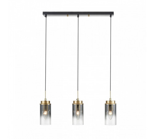 Подвесной светильник Lumion Isha 8101/3A