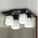 Потолочная люстра Lussole Lente LSC-2507-04