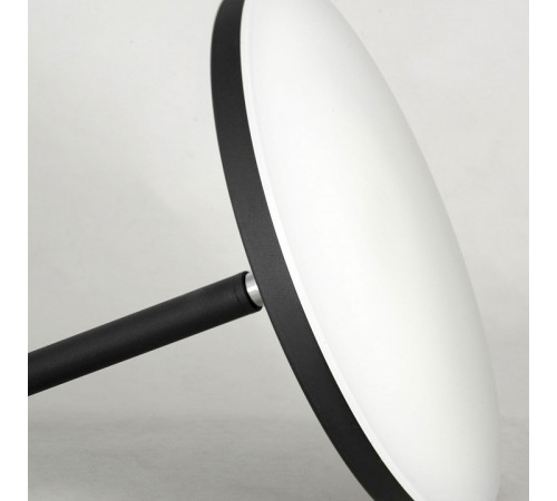 Торшер Lussole Carmel LSP-0901-SE