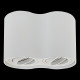 Потолочный светильник Lightstar Binoco 052026