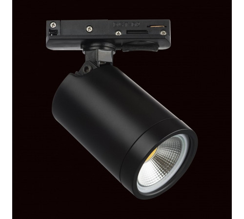 Трековый однофазный светильник Lightstar Rullo 212937