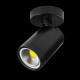 Спот Lightstar Rullo 213407
