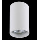 Потолочный светильник Lightstar Rullo 214436