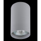 Потолочный светильник Lightstar Rullo 214439