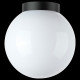 Уличный потолочный светильник Lightstar Bolla 373010