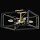 Потолочная люстра Lightstar Regolo 713347