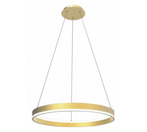 Подвесной светильник Lightstar Rotonda 736402 Подвесной светильник Lightstar Rotonda 736402