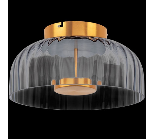 Потолочный светильник Lightstar Celesta 809061 Потолочный светильник Lightstar Celesta 809061