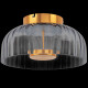Потолочный светильник Lightstar Celesta 809061