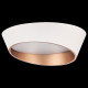 Потолочный светильник Lightstar Celesta 809456