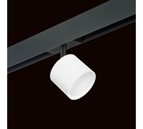 Трековый однофазный светильник Lightstar Rullo (213486+595087) PRO3486