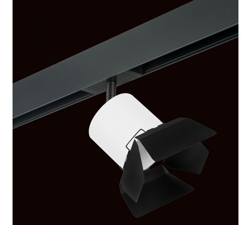 Трековый однофазный светильник Lightstar Rullo (213486+595087+202487) PRO3486487