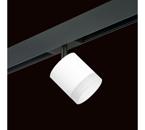 Трековый однофазный светильник Lightstar Rullo (213486+595087+202480) PRO348680