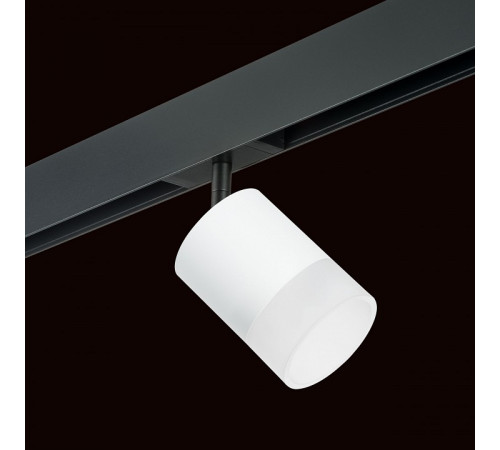 Трековый однофазный светильник Lightstar Rullo (213486+595087+202481) PRO348681