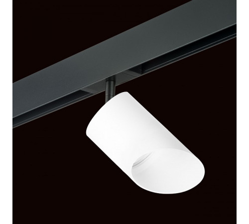 Трековый однофазный светильник Lightstar Rullo (213486+595087+201486) PRO348686