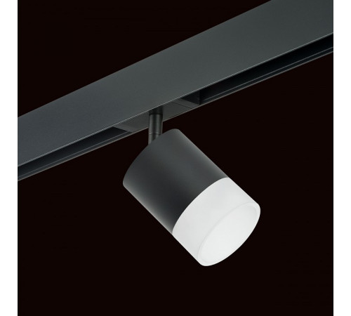 Трековый однофазный светильник Lightstar Rullo (213487+595087+202481) PRO348781