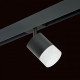 Трековый однофазный светильник Lightstar Rullo (213487+595087+202481) PRO348781