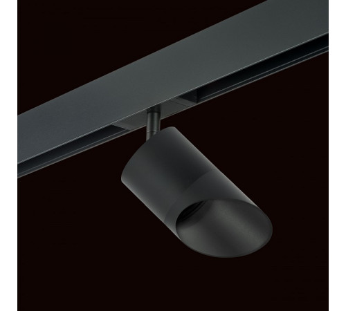 Трековый однофазный светильник Lightstar Rullo (213487+595087+201487) PRO348787
