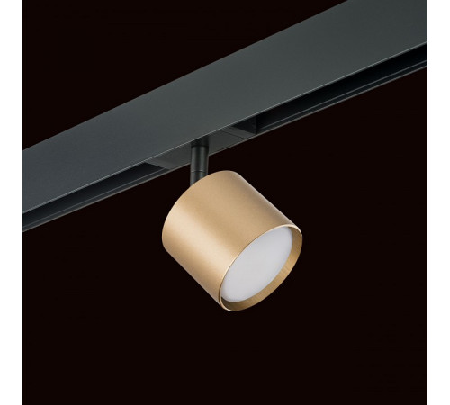 Трековый однофазный светильник Lightstar Rullo (213490+595087) PRO3490