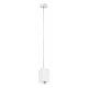 Подвесной светильник Lightstar RULLO RP336 (216336+590256)