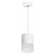 Подвесной светильник Lightstar Rullo (213486+590086+202481) RP348681