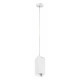 Подвесной светильник Lightstar RULLO RP386 (216386+590256)