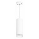 Подвесной светильник Lightstar RULLO RP48630 (214486+590056+202430)