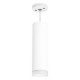 Подвесной светильник Lightstar RULLO RP649680 (216496+590086+202480)