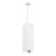 Подвесной светильник Lightstar RULLO RP6596 (216596+590286)