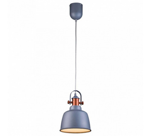 Подвесной светильник Lucia Tucci Industrial 1820.1 Sand Silver