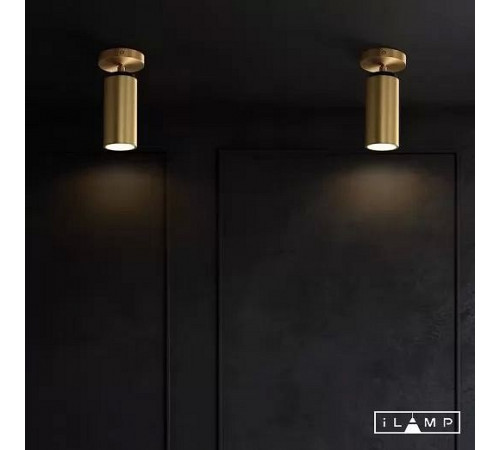 Спот iLamp Plum 8861C BR-BK